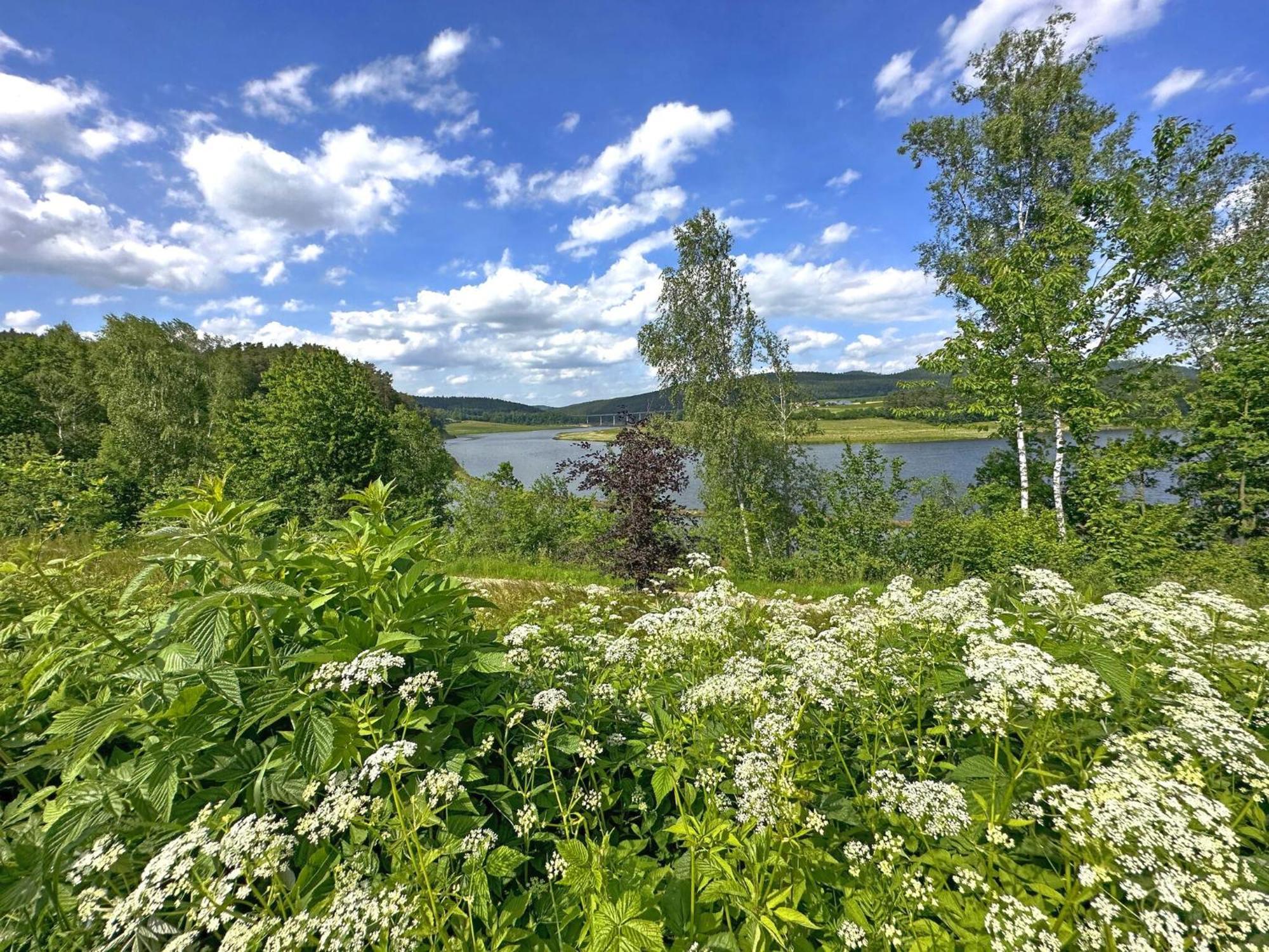 Feriendorf Seeblick - Tinyhouse Direkt Am See Neunburg vorm Wald Dış mekan fotoğraf