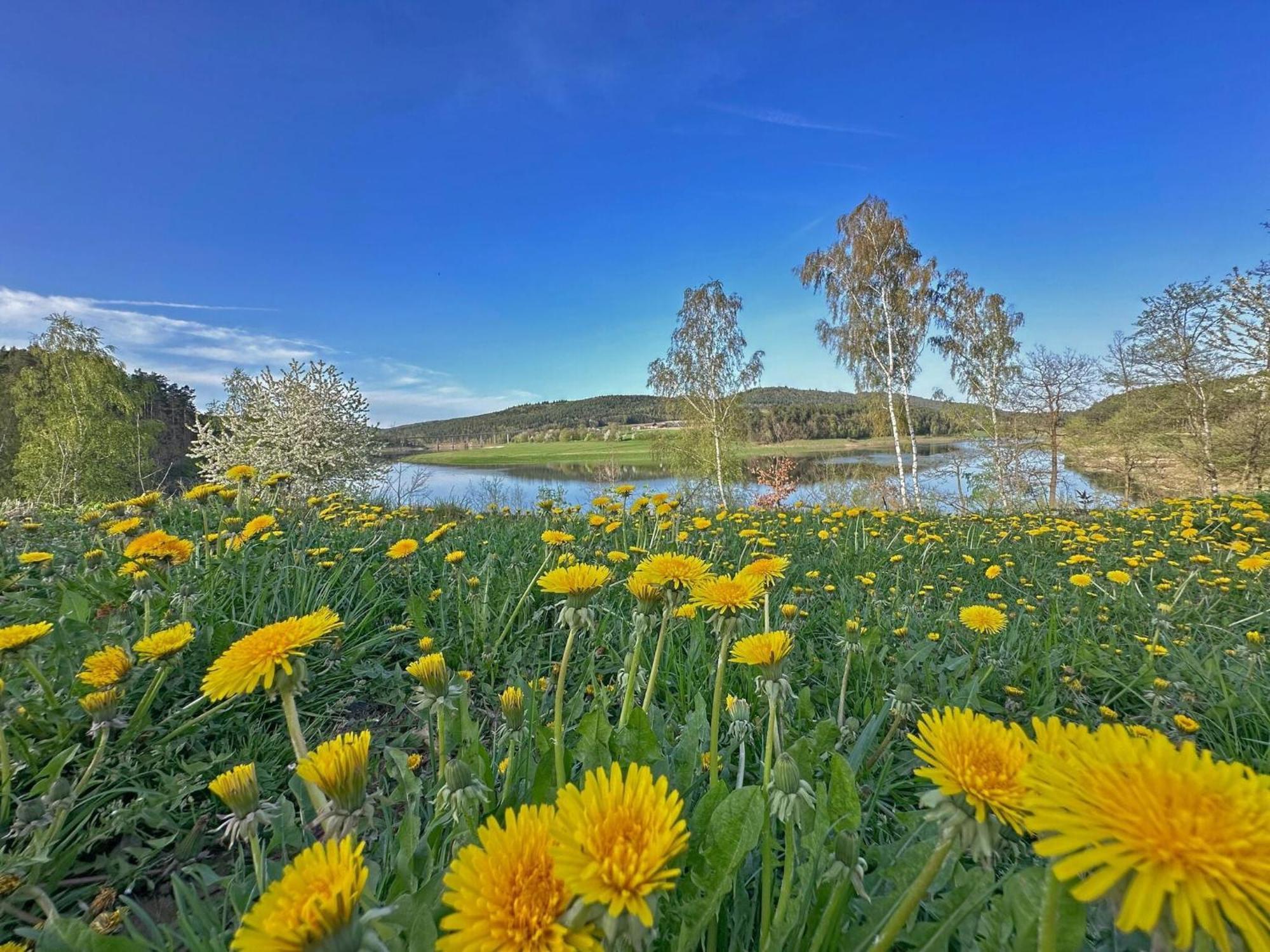 Feriendorf Seeblick - Tinyhouse Direkt Am See Neunburg vorm Wald Dış mekan fotoğraf